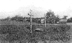 Могила тютюнниківців, розстріляних більшовиками в 1921 р. Село Базар Народицького р-ну.